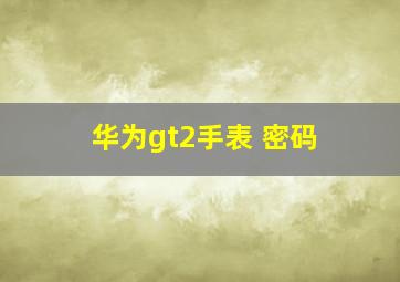 华为gt2手表 密码